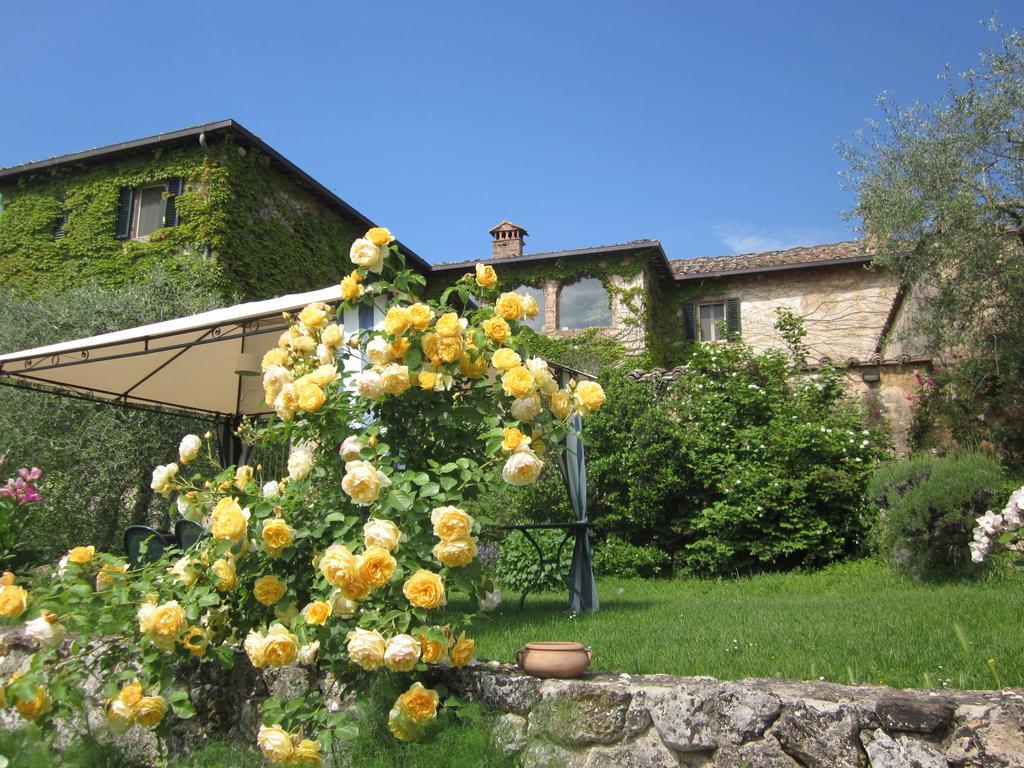 La Locaia Siena Quarto foto